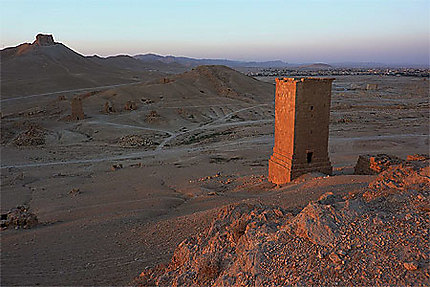 Les Tombeaux Royaux de Palmyre