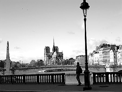 Belle vue sur la cathédrale Notre Dame