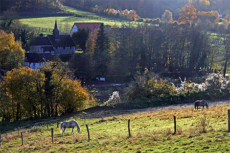 Automne en Normandie Automne en Normandie