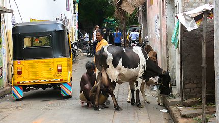 Dans les rues de Pondichéry