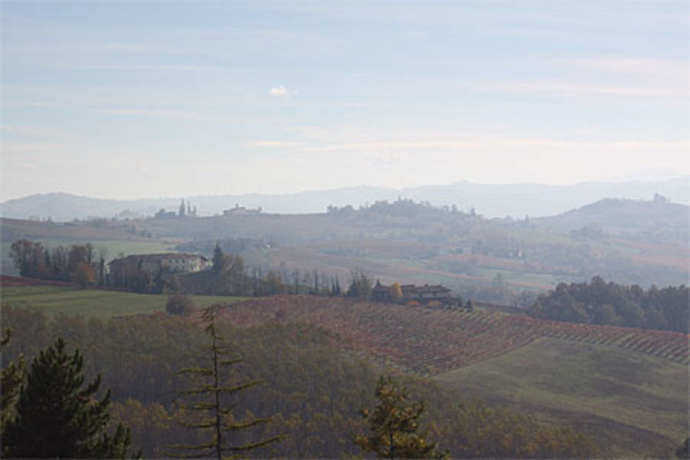 Les Langhe en novembre