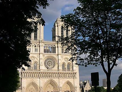 Vue sur Notre Dame