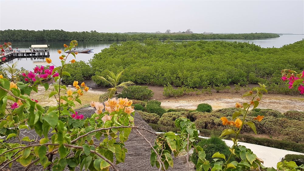 Le calme du Siné Saloum