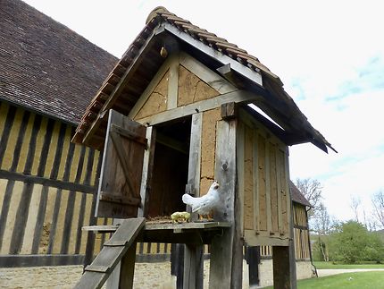 L’abri des poules 