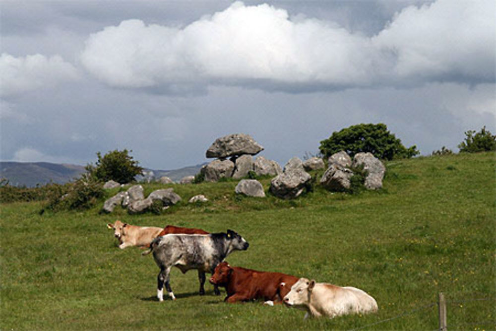 Carrowmore