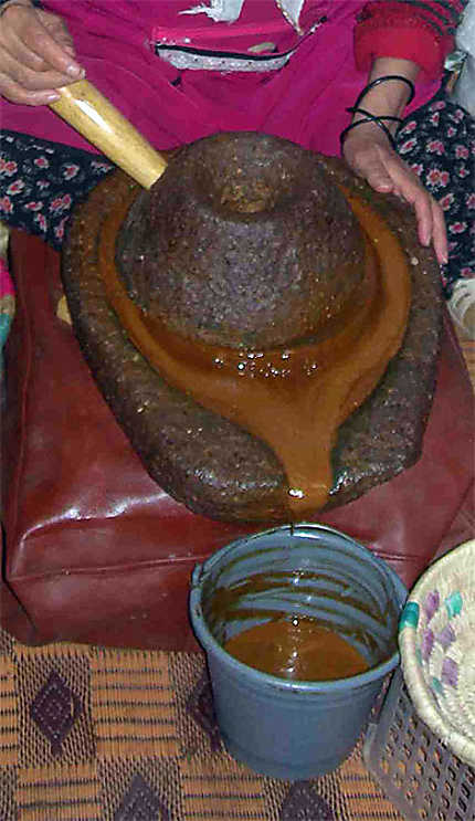 Pressage des noix d'argan pour l'huile
