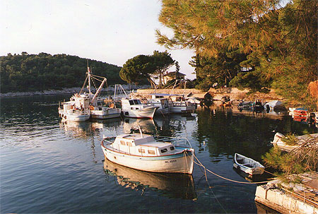 Ile de Mali Losinj Ile de Mali Losinj