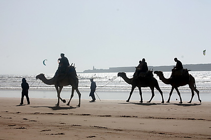 Balade à Essaouira