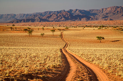 Les plaines du NamibRand