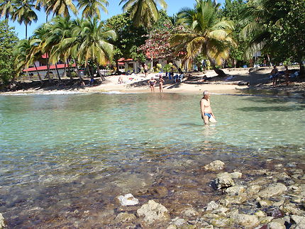 La Martinique plage de Anse Figuier