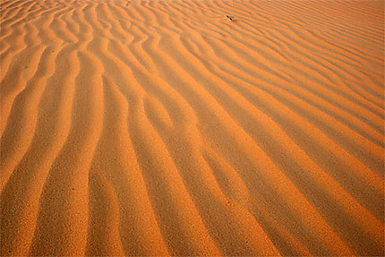 Sol du désert de Liwa