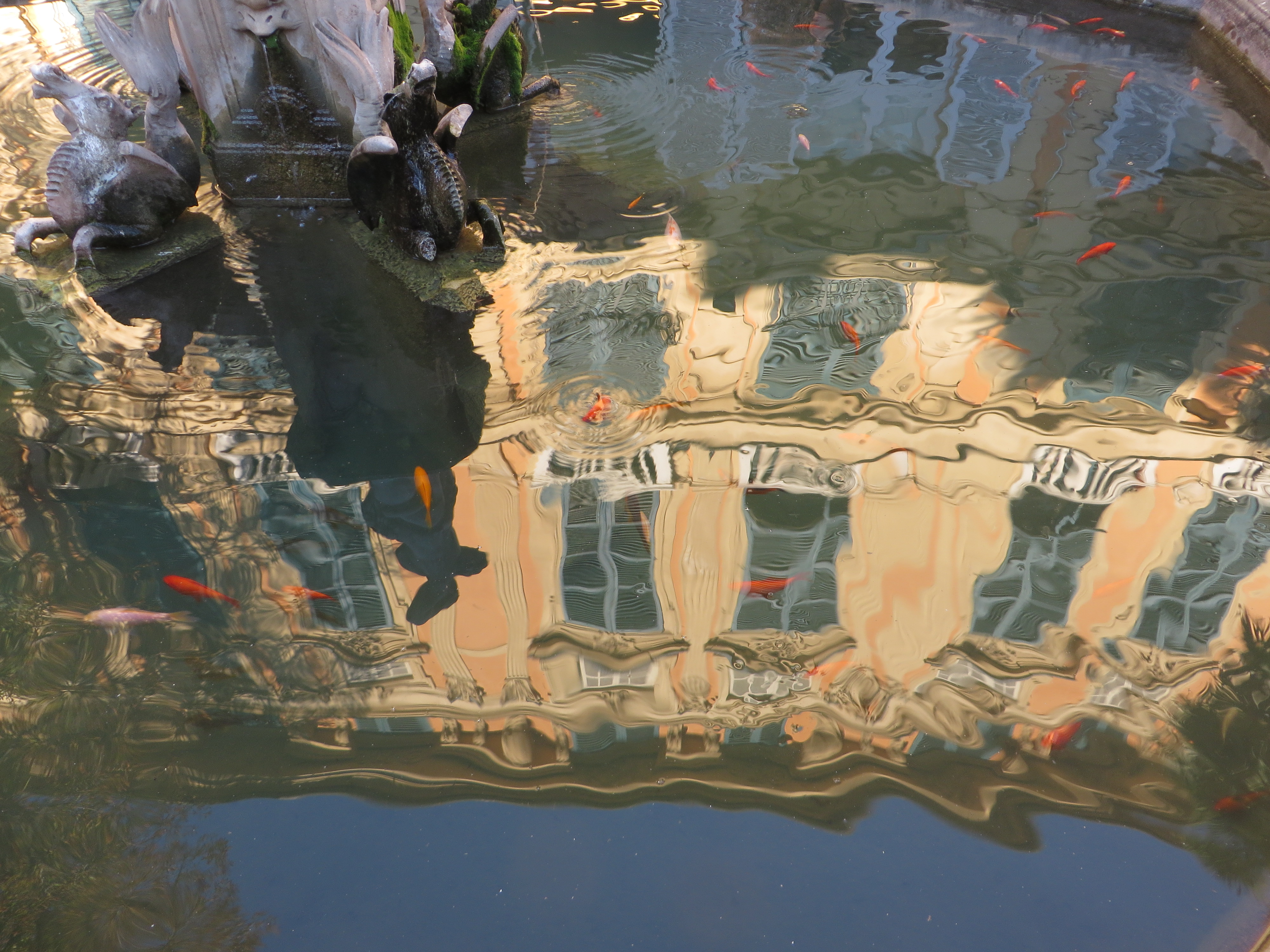 Le palazzo Reale dans le bassin aux poissons! Le palazzo Reale dans le bassin aux poissons!