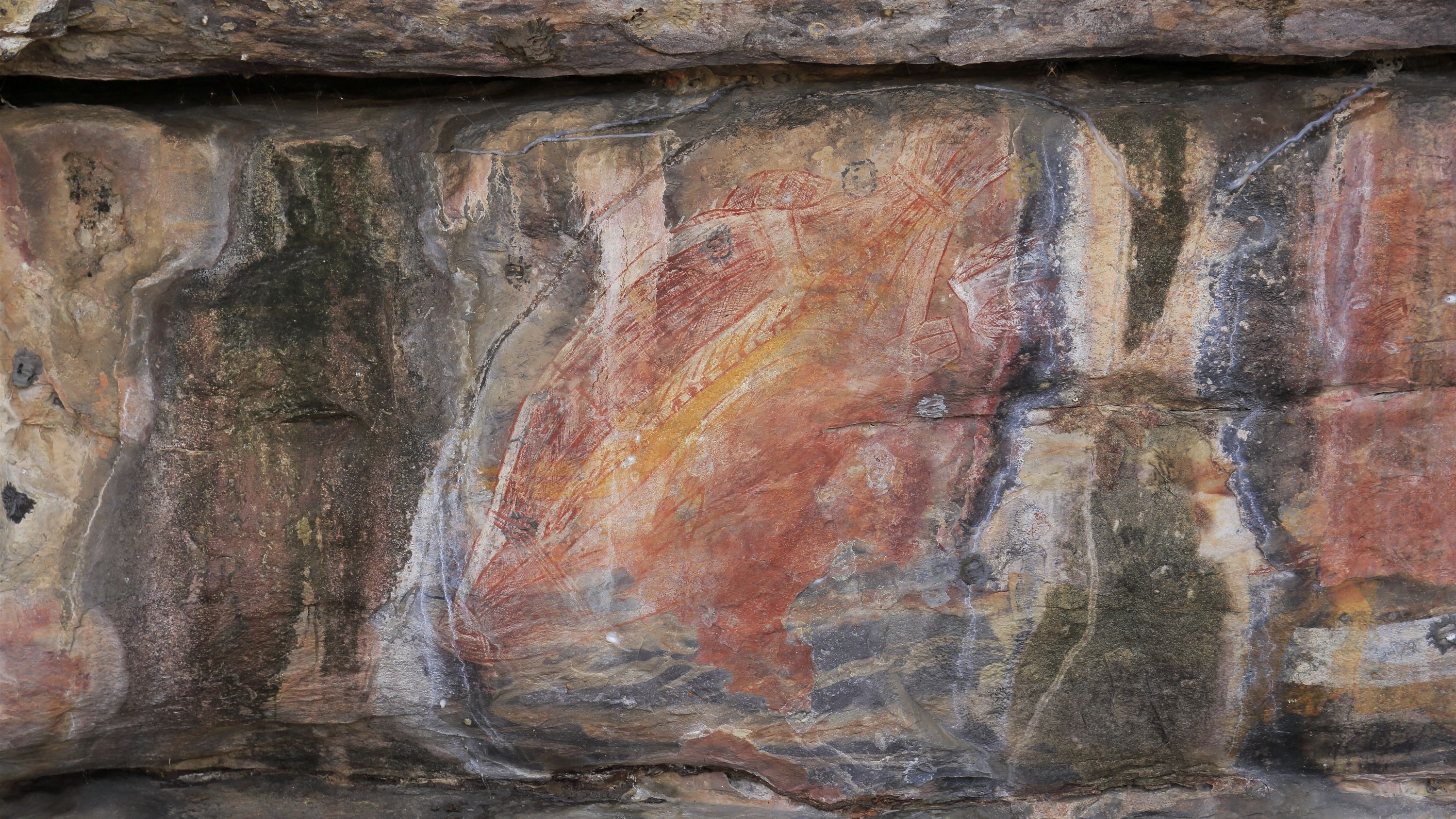 Peinture rupestre à Kakadu