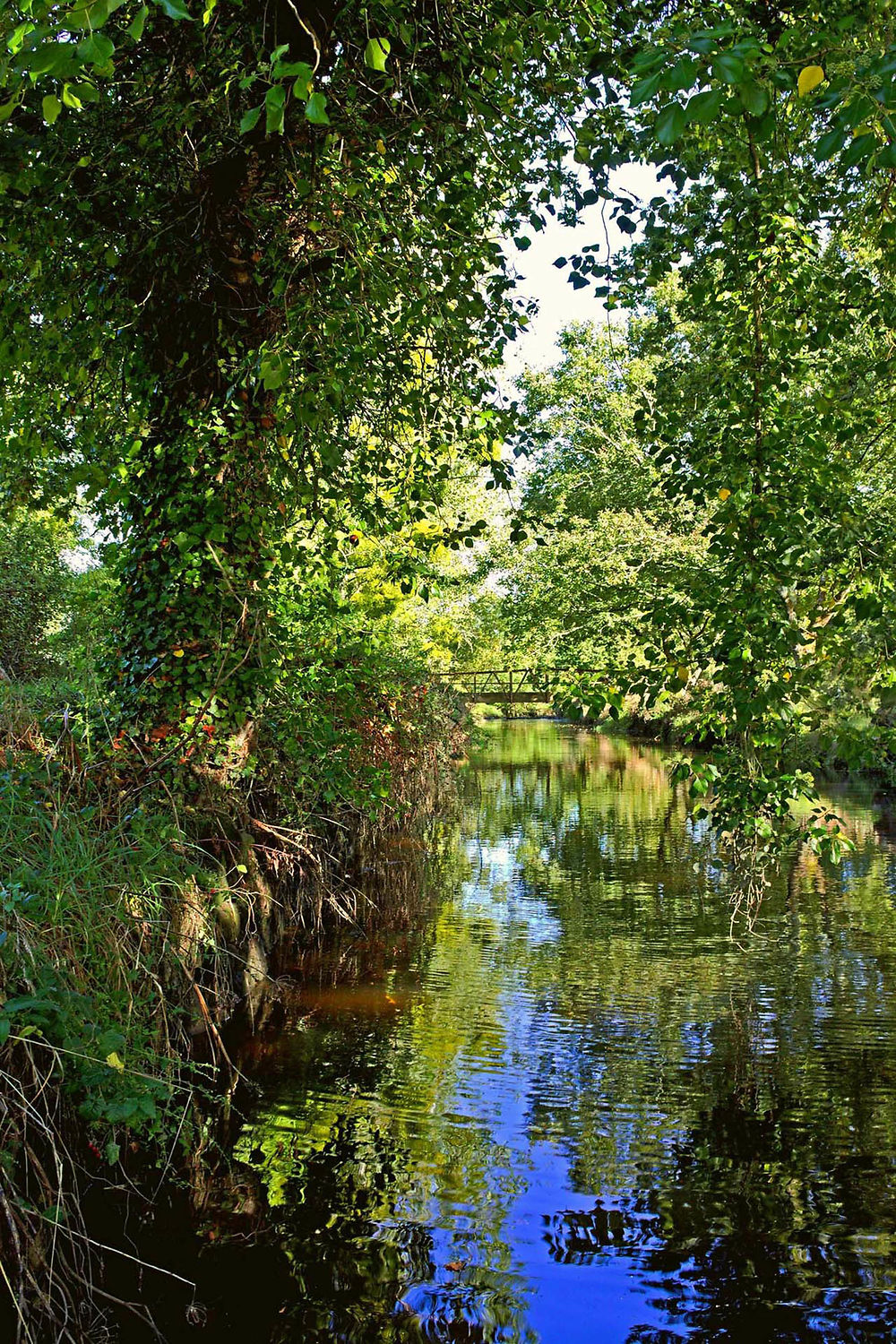 Balade Automnale le long du Pont du Roc'h