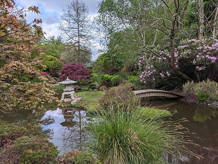 Mini pont japonais