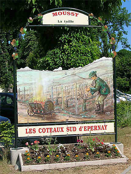Circuit touristique des villages des coteaux sud d'Epernay