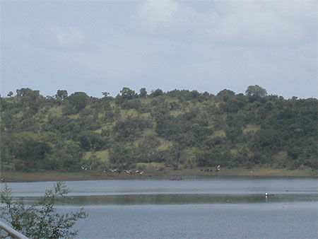 Les bords du lac de Kossou