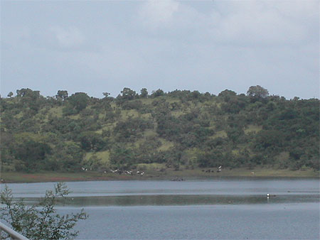 Les bords du lac de Kossou Les bords du lac de Kossou