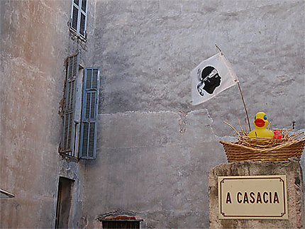 Le Corse et le canard