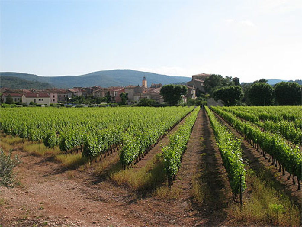 Vignobles de Besse