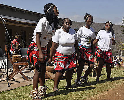 Danses sud africaines