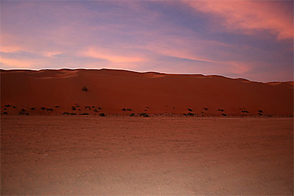 Début de soirée dans le désert