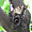 Papillon hibou du Jardin Botanique