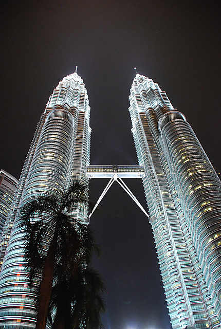Twins towers by night