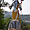 L'immense statue de Shiva à Haridwar