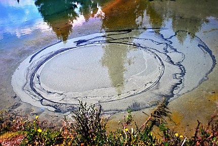 Source colorée par les bactéries