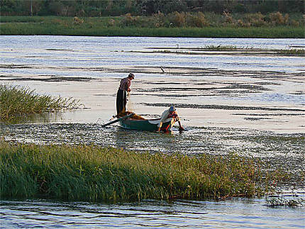 Pêcheurs sur le Nil