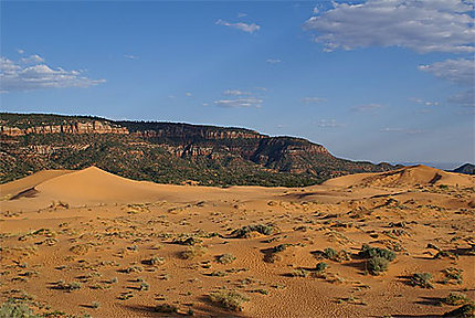 Coral Pink Sand Dunes SP