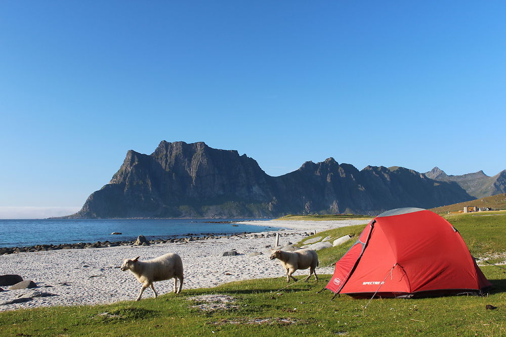 Camping à Uttakleiv