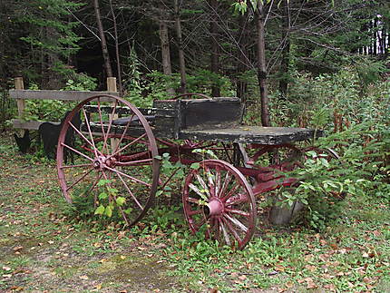 Antiquité à L'Île-aux-Coudres