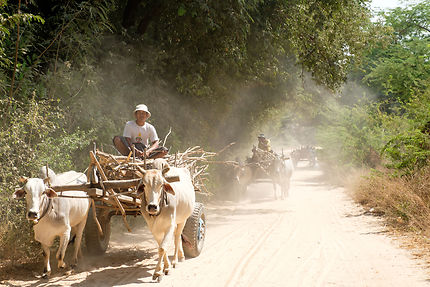 Route en Birmanie