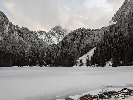 Montagnes immaculées