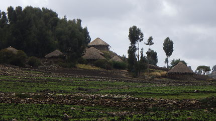 Village plateau à 3600 mètres en Ethiopie