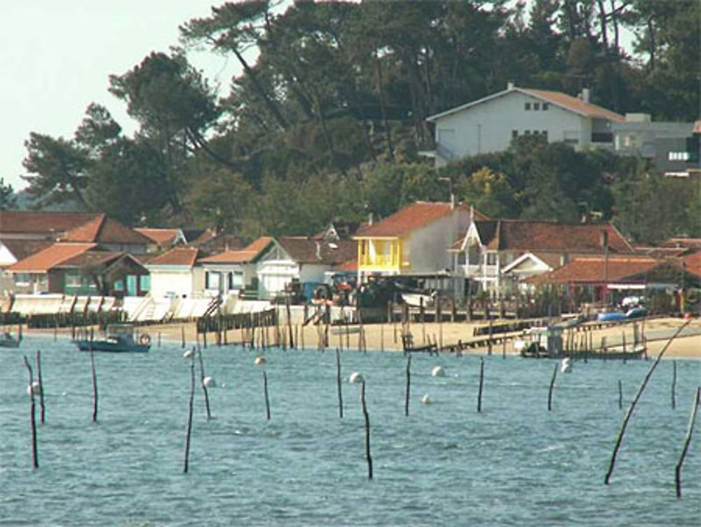 Village ostréicole de l'Herbe vu de loin (Bassin d'Arcachon)