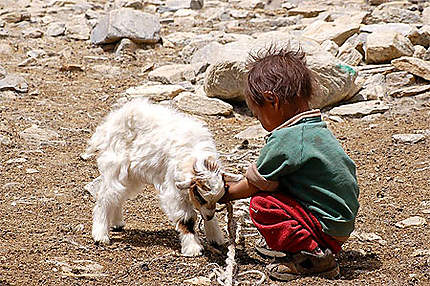 Un enfant nomade et sa copine pashmina