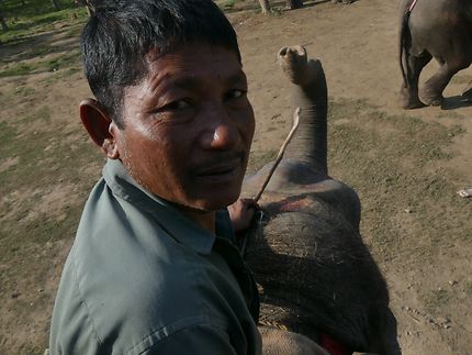 Avec son éléphant