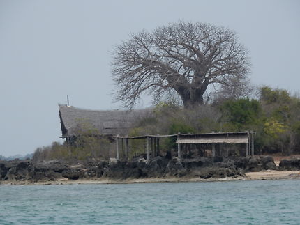 Île Wasini