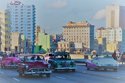 Les Américaines, La Havane