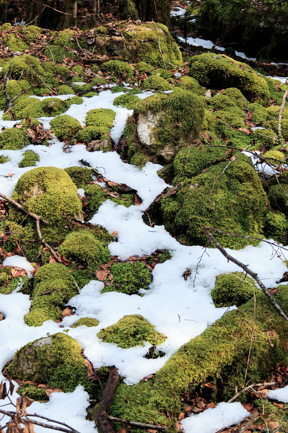 Hauteville - Neige et mousse dans le Haut-Bugey