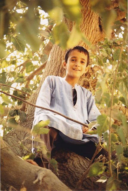 Enfant dans un arbre Égypte 1988
