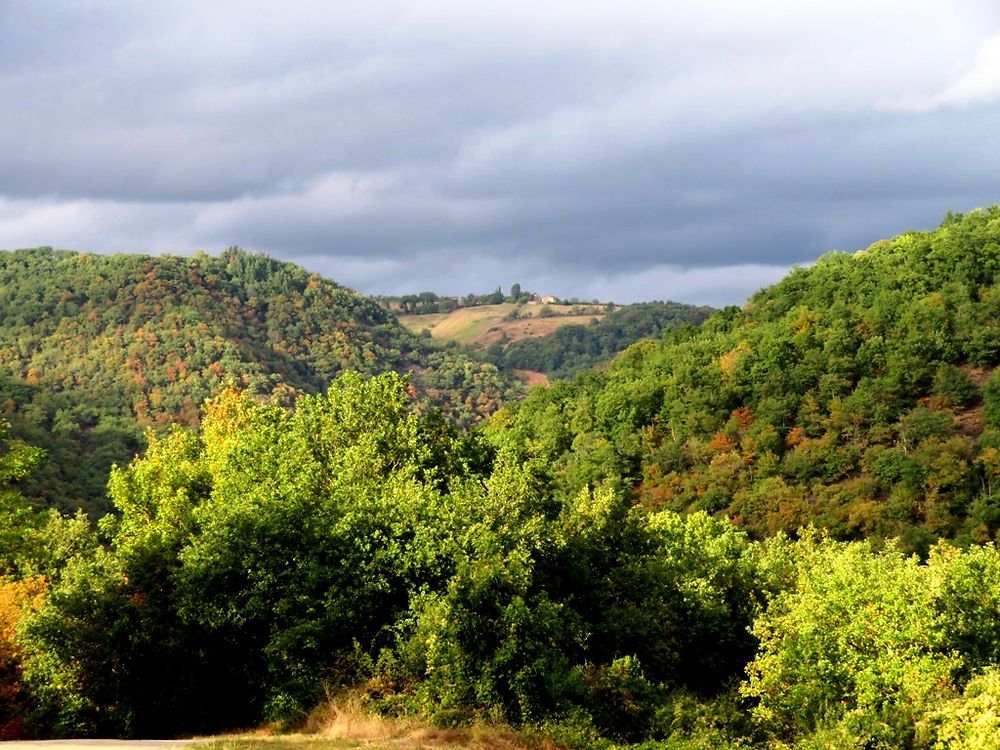 Balade en forêt dans la région d'Albi