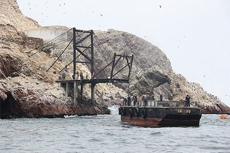 Récolte du guano Récolte du guano