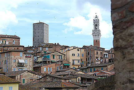 Siena Torre del Mangia