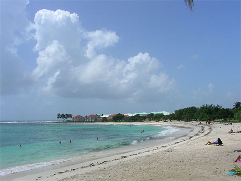 Plage des raisins clairs