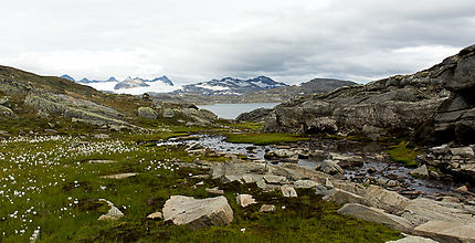 Route 55, Norvège