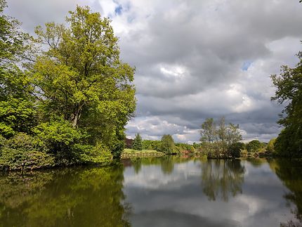 Lac tranquille Parc Botanique de Haute Bretagne